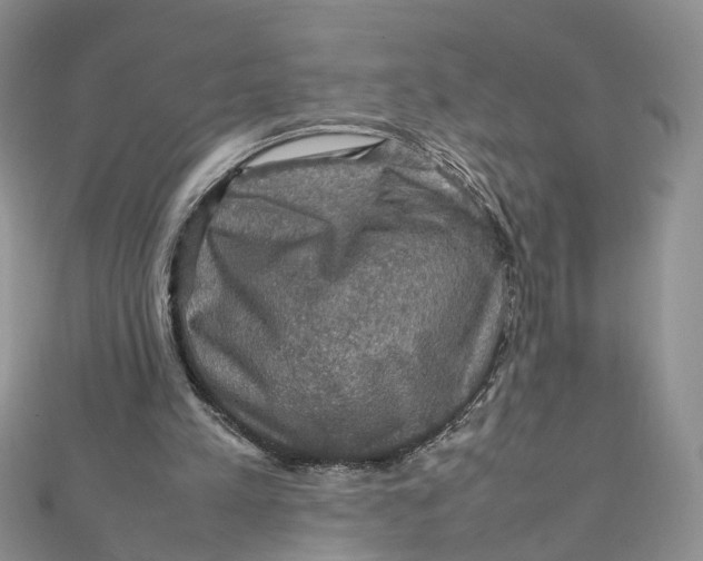 X0000112010197200908241502