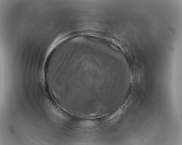 X0000112010198200908241502