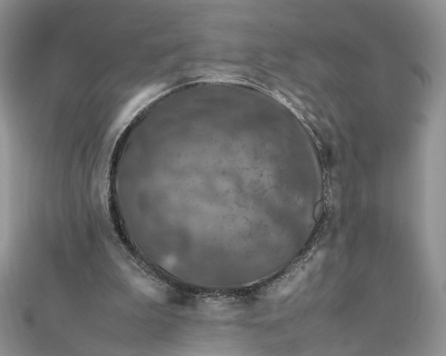 X0000112010199200908241502
