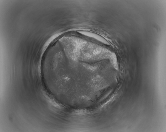 X0000112010200200908241502