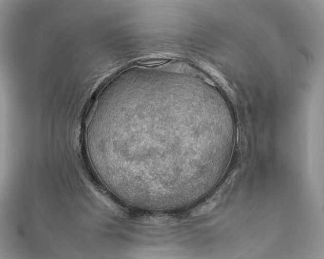 X0000112010201200908241502