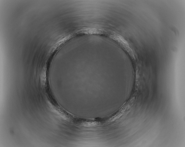 X0000112010202200908241502