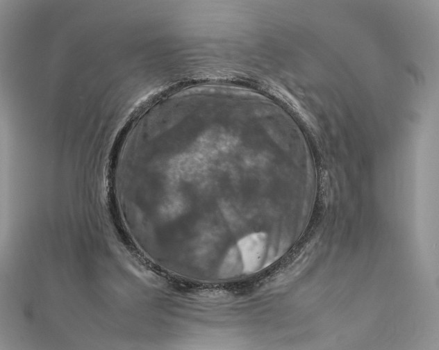 X0000112010203200908241502