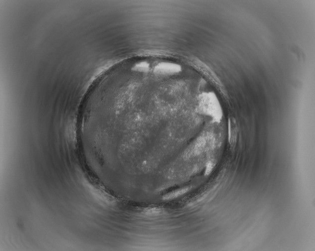 X0000112010204200908241502