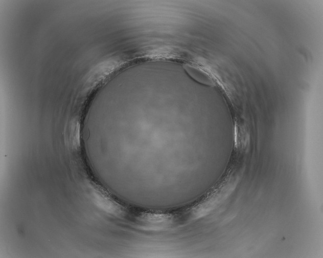 X0000112010205200908241502