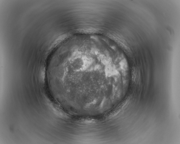 X0000112010206200908241502
