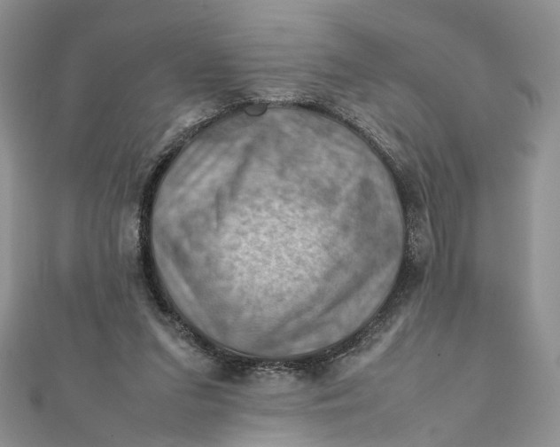 X0000112010207200908241502