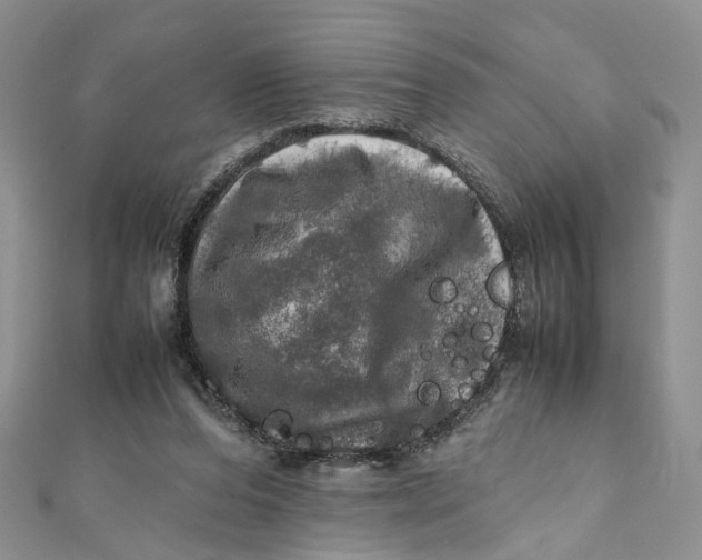 X0000112010208200908241502