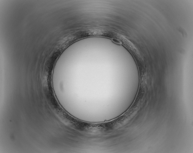 X0000112010209200908241502
