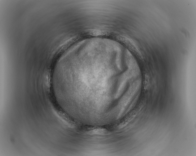 X0000112010210200908241502
