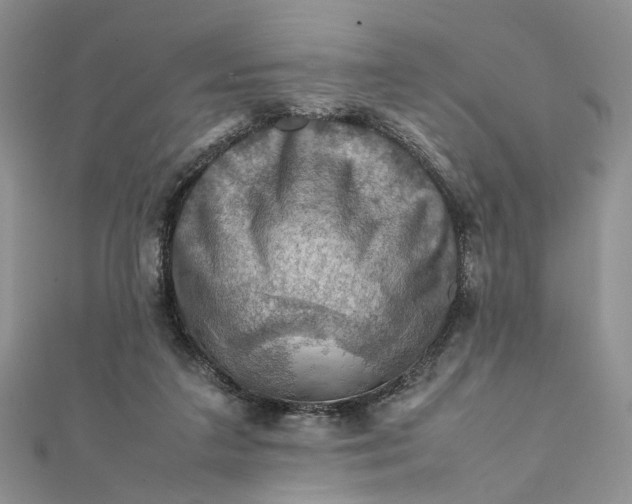 X0000112010211200908241502