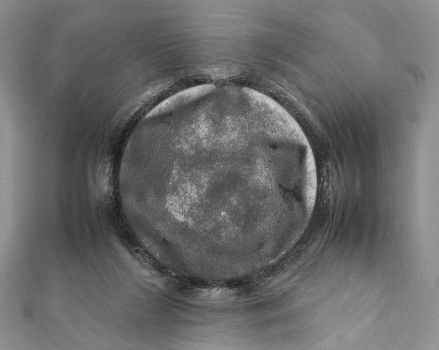 X0000112010212200908241502