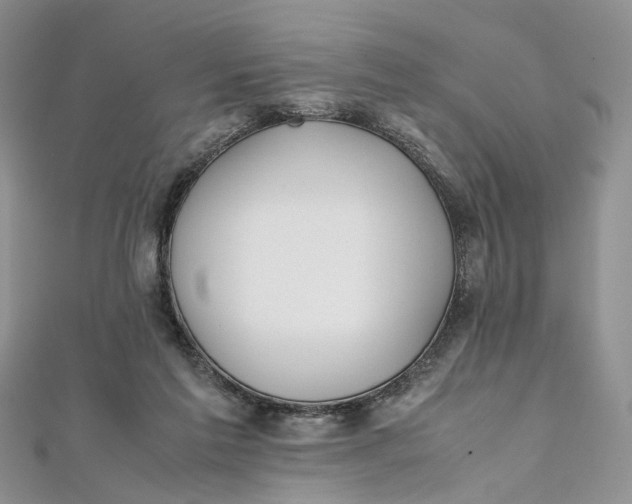 X0000112010213200908241502