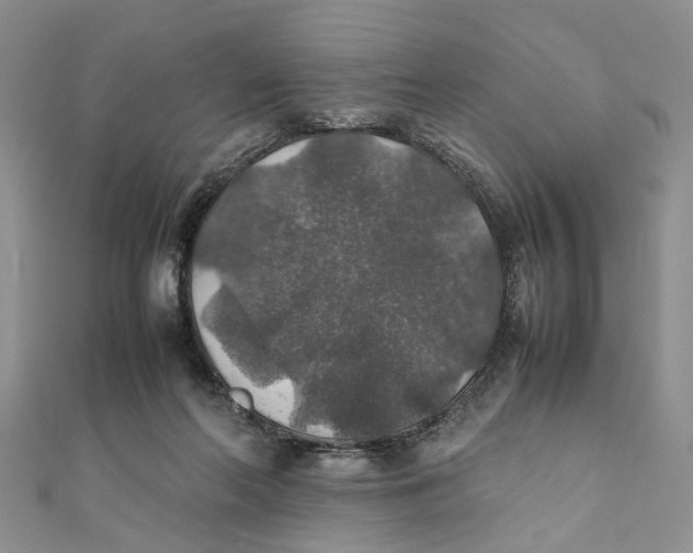 X0000112010214200908241502