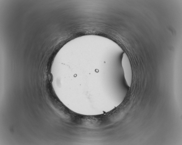 X0000112010215200908241502