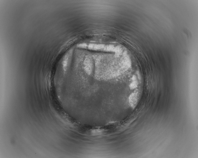 X0000112010216200908241502