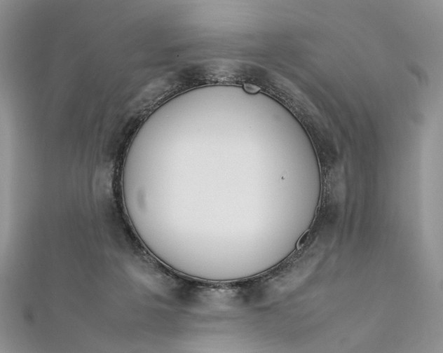 X0000112010217200908241501