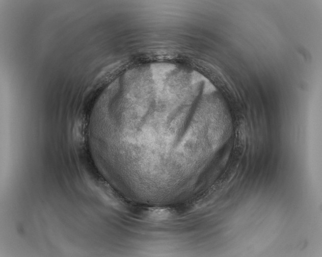 X0000112010218200908241501
