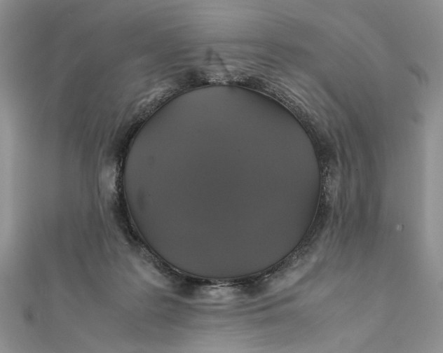 X0000112010219200908241501