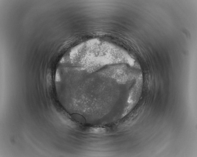 X0000112010220200908241501