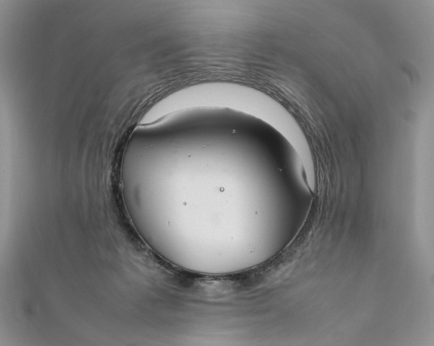 X0000112010221200908241501