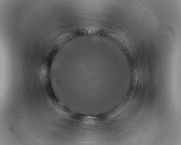 X0000112010222200908241501