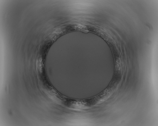 X0000112010223200908241501