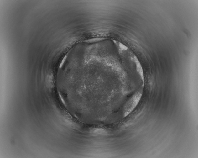 X0000112010224200908241501