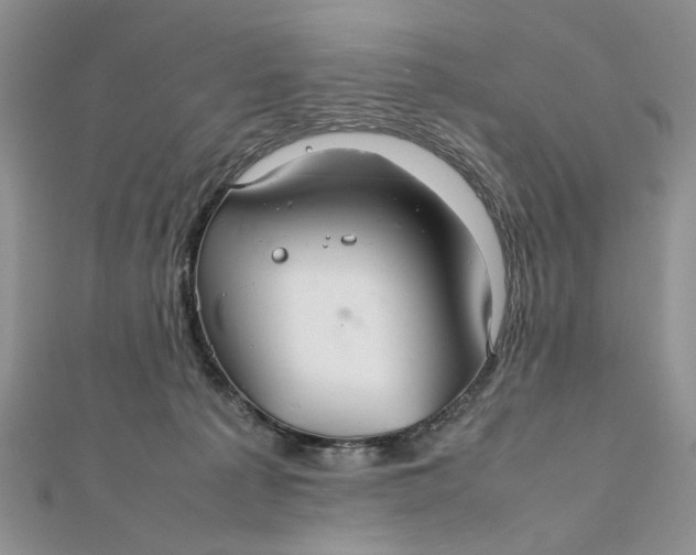 X0000112010225200908241501