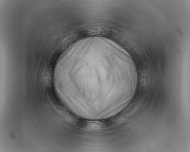 X0000112010226200908241501