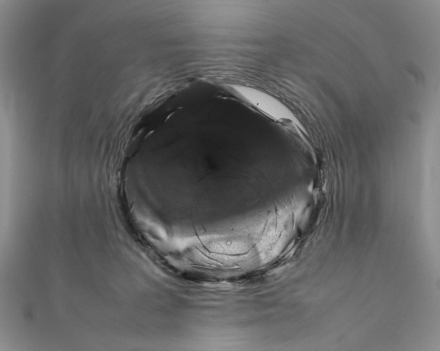 X0000112010227200908241501