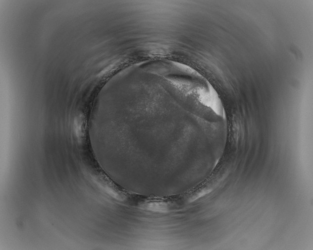 X0000112010228200908241501