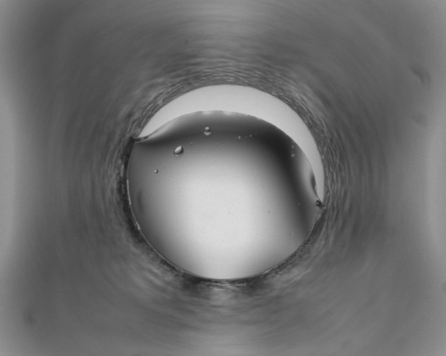 X0000112010229200908241501