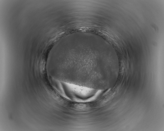 X0000112010230200908241501