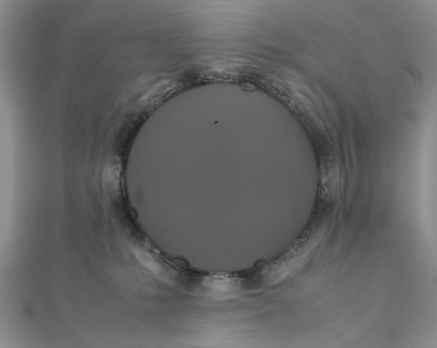 X0000112010231200908241501