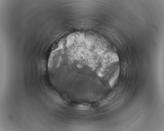X0000112010232200908241501