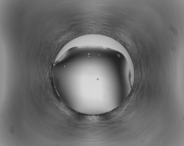 X0000112010233200908241501
