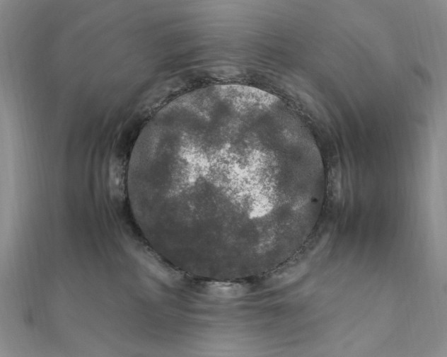 X0000112010234200908241501