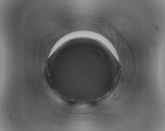 X0000112010235200908241501