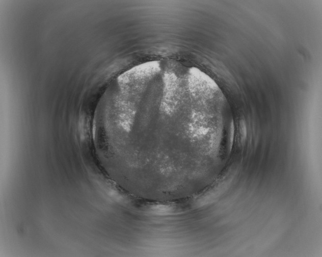 X0000112010236200908241501