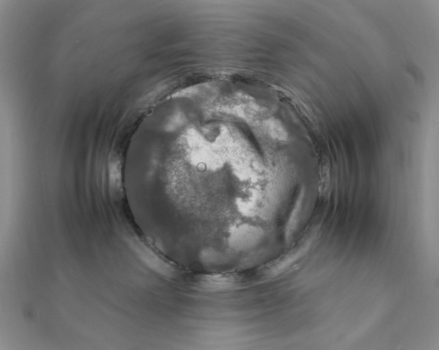 X0000112010238200908241501