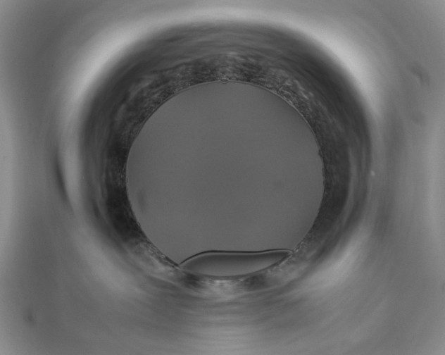 X0000112010239200908241501