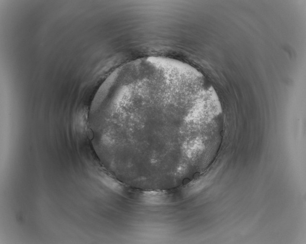 X0000112010240200908241501