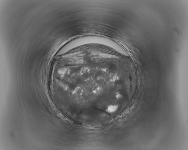 X0000112010241200908241501