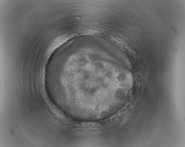 X0000112010242200908241501