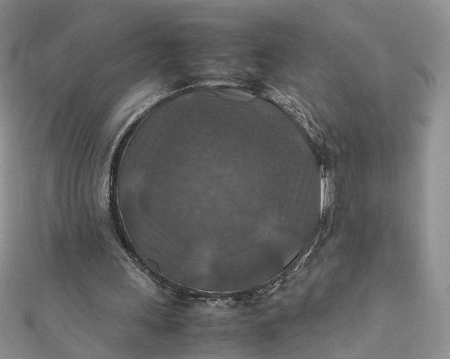 X0000112010243200908241501