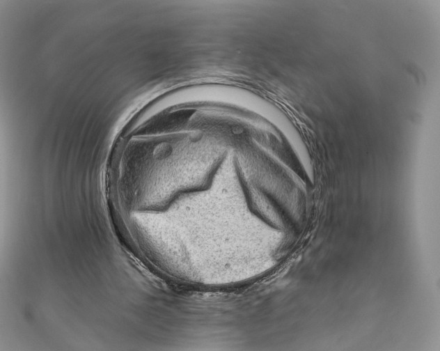 X0000112010244200908241501