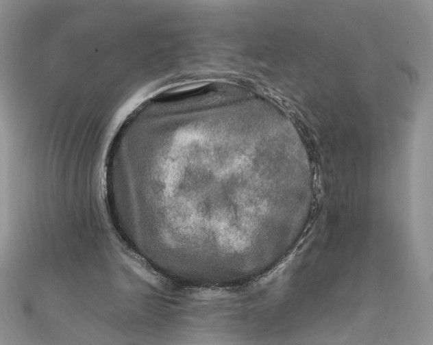 X0000112010246200908241501
