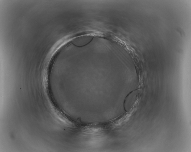 X0000112010247200908241501