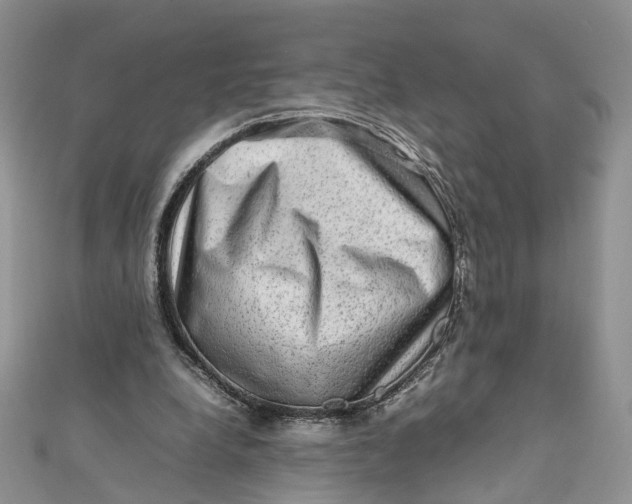 X0000112010248200908241501